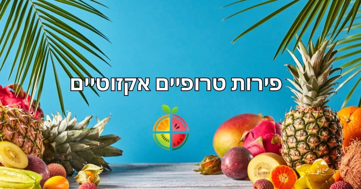 פירות טרופיים אקזוטיים מידע הזמנות ומשלוחים מגשי פירות לאב